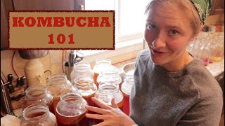 KOMBUCHA 101 Everything You Need to Know About Kombucha Brewing Flavouring and Health Benefits [upl. by Roderica803]