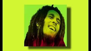 Reggae Sample Pack 2022  Regga Drum kit  One shot  Bob Marley Sample pack Free Download [upl. by Adnola284]