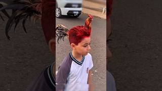 Man transforms into a real Rooster 🐓 in AGT Americas got talent 😱😂 Duo SchumacherAGTmagic [upl. by Arannahs764]