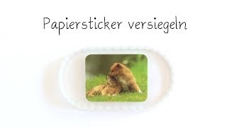 Gießharz Papiersticker versiegeln  Anielas Fimo [upl. by Ma]