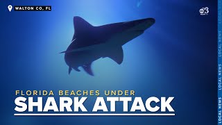 Marine unit monitoring waters at Florida beaches after multiple shark attacks [upl. by Tomchay]