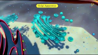 Practicallys Concepts  Golgi Apparatus  LearnPractically [upl. by Ruggiero]