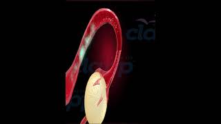 Stop Menstrual Cycle  3D Animation [upl. by Iruj]