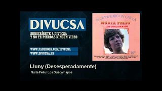 Nuria Feliu i Los Guacamayos  Lluny  Desesperadamente [upl. by Anaitsirc874]