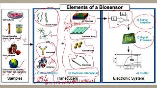 Lecture 49  World of Biohybrid Biosensors [upl. by Fernandes]