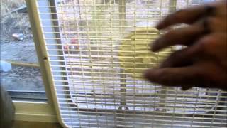 Homemade AC For 30  How To Make A Cheap Evaporative Cooler [upl. by Esinrahc568]