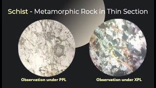 Schist metamorphic rock Thin section under Microscope  Petrography Optical Mineralogy Geology [upl. by Rainer613]