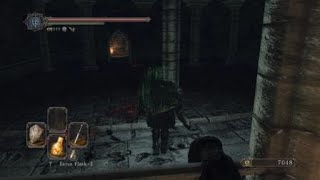 DARK SOULS™ II Scholar of the First Sinknight finds estus shard in no mans wharf [upl. by Atikan400]