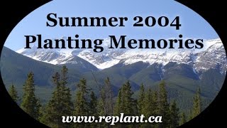 Replantca 2004 Summer Tree Planting Memories [upl. by Carola]