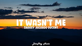 Shaggy ft Ricardo Ducent  It Wasnt Me lyrics [upl. by Irakuy192]