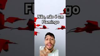 Não não é um flamingo [upl. by Glennie]