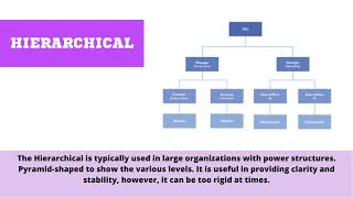 Organizational Charts Elements Types and Importance CSEC Principles of Business [upl. by Nnayllas]