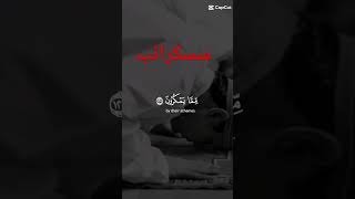 Sakandar Ali 9115 video Quran ke islamicvideo duet [upl. by Consolata]