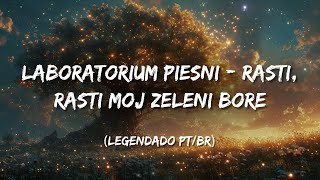 Laboratorium Pieśni  Rasti rasti moj zeleni bore Legendado PTBR [upl. by Wooldridge]