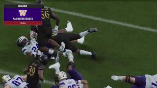 15 Washington  Northwestern  CSFD S3W4  CFB 25 Online Dynasty [upl. by Afas]