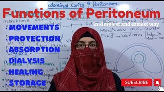 Functions of Peritoneum I Abdominal cavity and Peritoneum ayeshamedicaleducation [upl. by Azilem]