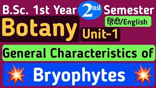 General Characters of Bryophytes in HindiBSc 1st Year 2nd Semester BotanyBSc 2nd Semester Unit 1 [upl. by Wassyngton484]