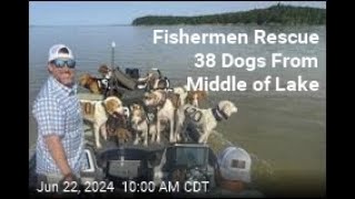 38 dogs treading water Poisoned Trees in Maine and Bill Belichick Jordan Hudson [upl. by Lati440]