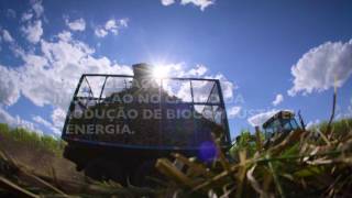 Solidaridad Trailer for the Brazilian Sugarcane Campaign A Culture of Innovation [upl. by Laraine]