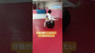 🇯🇵ブラジリアン柔術🇧🇷で世界王者を目指す小6男のバランスボールトレーニング編 ブラジリアン柔術 bjj 格闘技 この西山って子 バランスボール [upl. by Aicinat]