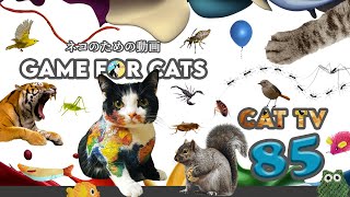 CAT Games  Ultimate Cat TV Compilation Vol 85  2 HOURS 🐝🐞🦋🦎🦜🐜🐭🧵🐠🐯🐪🐋🐖 [upl. by Sherl]