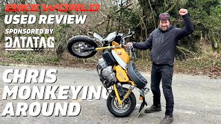 Honda Monkey Bike  Used Bike Review [upl. by Anoirtac]