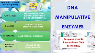 Manipulative Uses of Enzymes  In Detail  Enzymes used in Molecular Biology  Enzyme 39 [upl. by Borg]