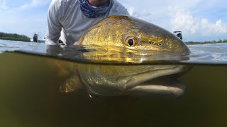 Fly Fishing for Redfish [upl. by Felt872]