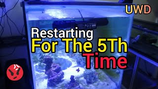 Nitrogen Cycle Restarting From Base High Phosphate nitrogencycle reeftank aquarium [upl. by Assetal331]