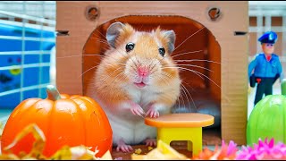 Hamster Escapes Colorful Ball Maze  Epic Escape 🐹 Hamster Maze [upl. by Oicaroh]