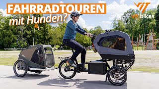 Leine Box Anhänger oder ein eigenes Rad für den Hund 🔥😍 Hundetransport auf langen Touren [upl. by Yrellam]