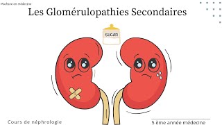 les Glomérulopathies Secondaires  Néphropathie diabétique syndrome dAlport nephro [upl. by Mak]