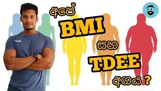 මොනවද මේ BMI සහ TDEE කියන්නෙ [upl. by Euqinim189]