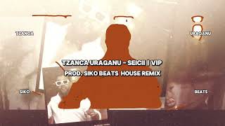 Tzanca Uraganu  Seicii  VIP House Remix [upl. by Crespi]