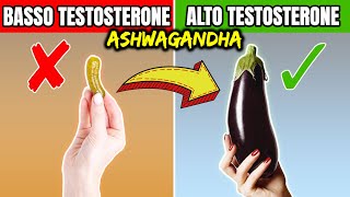 40 TESTOSTERONE con INTEGRATORE di ASHWAGANDHA [upl. by Guidotti]