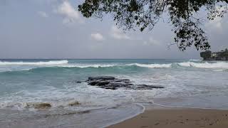 Surf Breaks of Barbados  January 31 2021  Batts Rock 01 [upl. by Donnie]