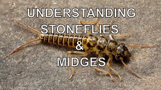 Understanding Stoneflies amp Midges with Tom Rosenbauer [upl. by Akcira]