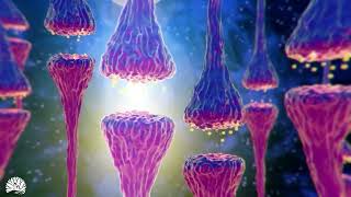 528hz Miracle Tone  Dna Repair amp Healing Nerve And Cell Regeneration Complete Body Healing [upl. by Curren73]