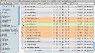 TYPO3 Anleitung zum Update von Version 43 auf 44 Teil 1 [upl. by Ellek]