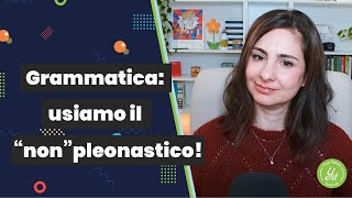 Learn Italian grammar usiamo il quotnonquot pleonastico youritalianteacher [upl. by Sitsuj]