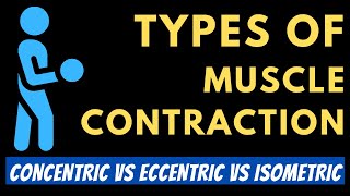 Types Of Muscle Contraction  Concentric Vs Isometric Vs Eccentric Contractions [upl. by Llieno]