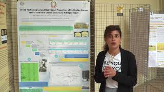 Properties of Old Italian Durum Wheat Cultivars I M Mefleh at ICWL18 [upl. by Yreffoeg]