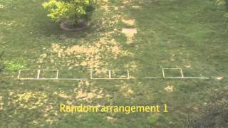 Vegetation sampling using transects and plots [upl. by Nylarac386]