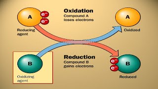 Oxidation and Reduction  22 MCQs for Paper 2 Revision  Cambridge IGCSE Chemistry [upl. by Sorazal]