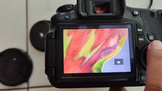 review lensa sigma 1770mm f284 amp EOS 60D ditahun 2024 apakah masih layak [upl. by Aiyn]