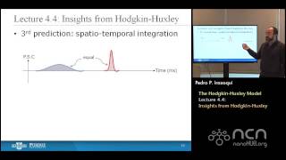 nanoHUBU Bioelectricity L44 HodgkinHuxley Model  Insights from HodgkinHuxley [upl. by Britte472]