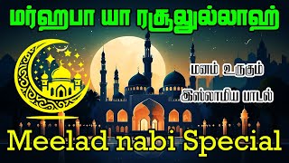 Islamic Tamil song about prophet Muhammed SAW  Rabiyul Awwal Naat  Meelad Nabi [upl. by Knapp631]