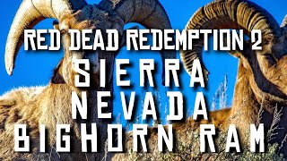 Sierra Nevada Bighorn Ram  Red Dead Redemption 2 RDR2 rdr2 [upl. by Nnylarej]