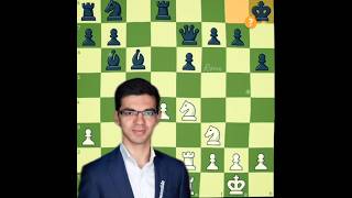 Anish Giri Brilliancy ✨🤫 [upl. by Gisela]