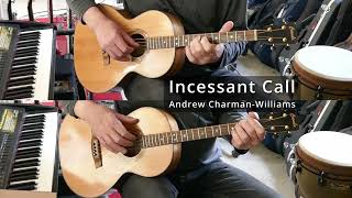 Incessant Call  tenor guitars [upl. by Ariat880]